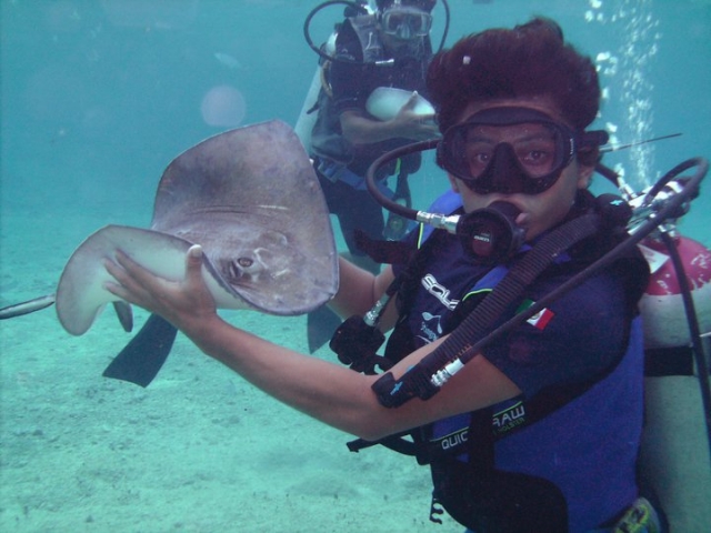  Immersioni con le mante 